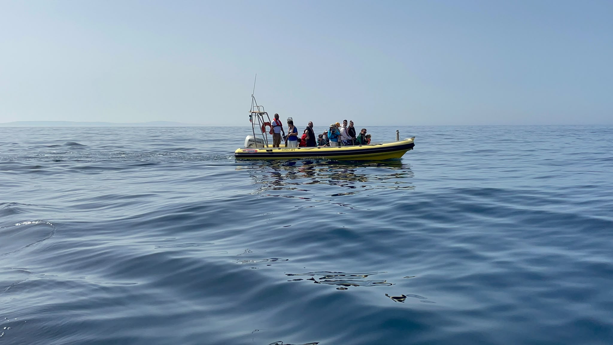 Atlantic Safaris boat scanning the open Atlantic for dolphins